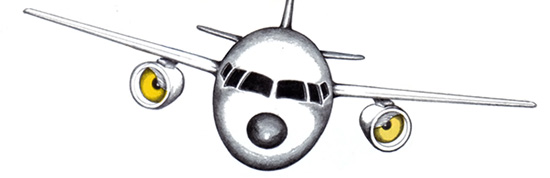 Jetliner Bird Strike Prevention
